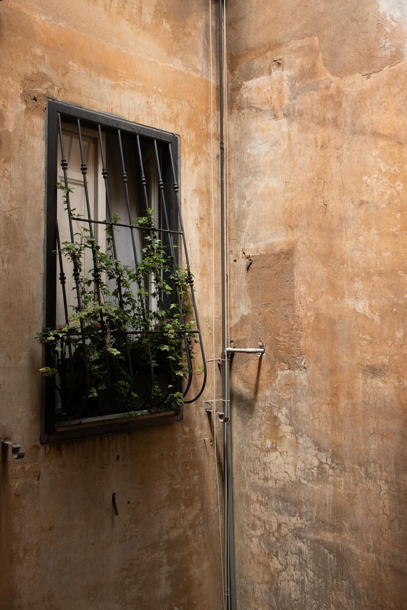 Colosseum View Accomodation โรม ภายนอก รูปภาพ